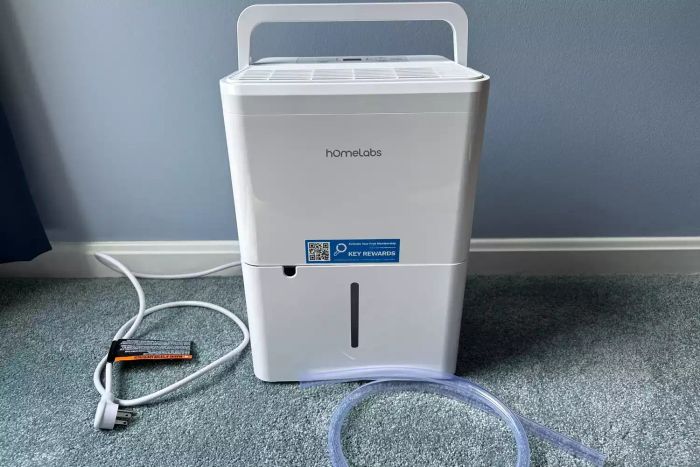 The Homelabs 8-Pint Dehumidifier unplugged and placed on a carpet