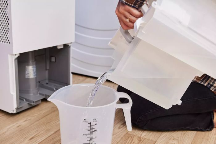 An individual emptying water from the tank of the Homelabs 50-Pint Wi-Fi Dehumidifier HME031003N