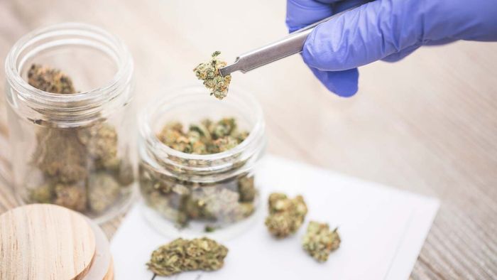 What Federal Cannabis Decriminalization Could Mean for the U.S.
