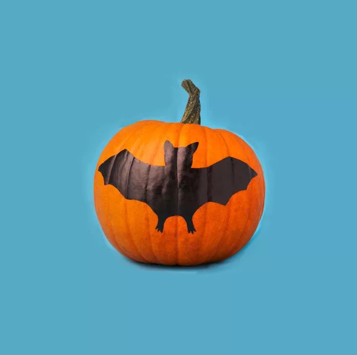 Pumpkin ideas that require no carving – sharpie bat pumpkin