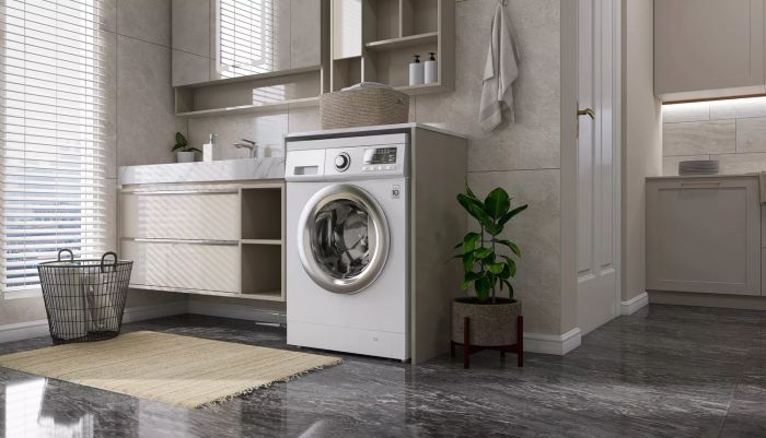 laundry room with rug