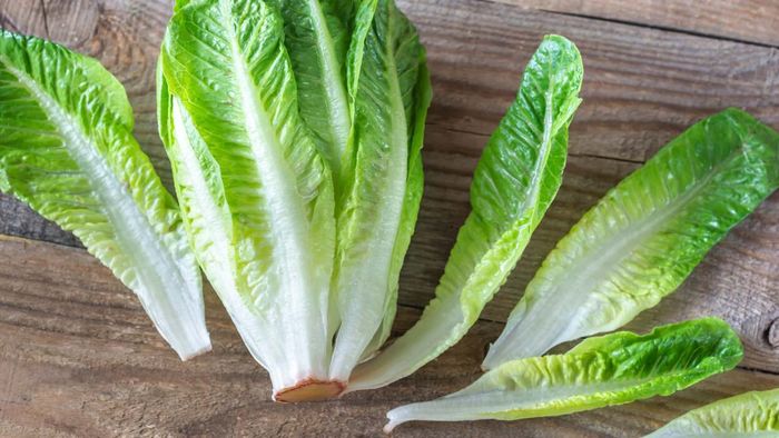 You Can Safely Eat Lettuce Again, If You Really Want To