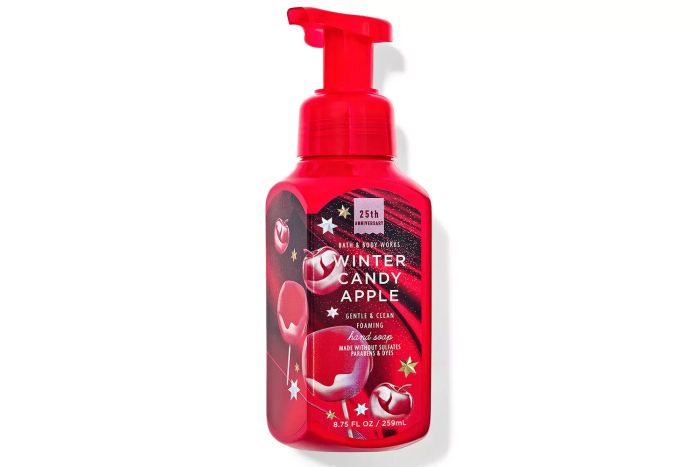 Bath & Body Works Winter Candy Apple Gentle & Clean Foaming Hand Soap