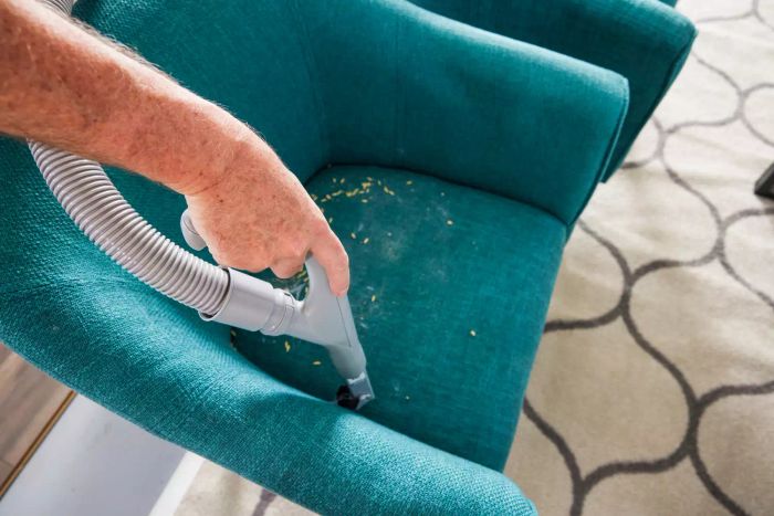 A person utilizing the hand attachment of the Miele Classic C1 Turbo Team PowerLine vacuum to clean a chair.