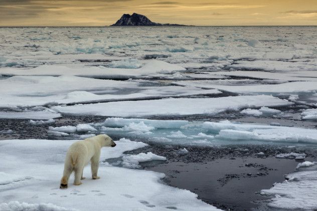The film challenges the widely accepted scientific consensus on global warming. It suggests that the issue has been sensationalized and turned into an agenda-driven cause. By emphasizing the supposed manipulation of public perception through political and financial influence, the documentary paints global warming as a fabricated issue that doesn’t deserve the attention it has received.