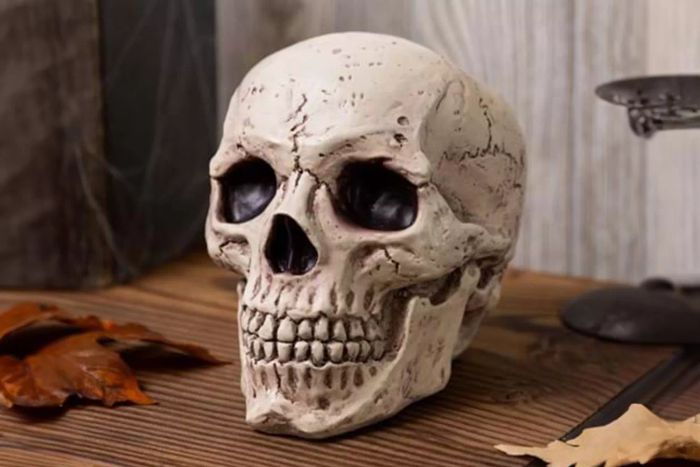 Halloween Costumes Resin Classic Skull Halloween Decoration