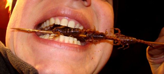 Eating_scorpions