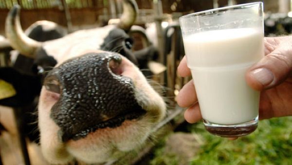 Main Rawmilk