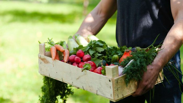 Can Athletes Thrive on a Vegan Diet?