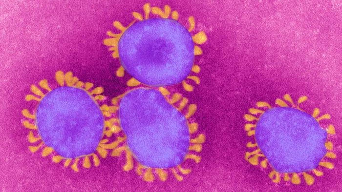 There’s something far more dangerous spreading than any virus, and it’s the notion that calling the coronavirus 'kung flu' is humorous.