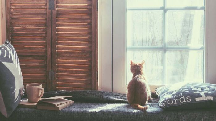 Winter mornings will remain dark until January, unfortunately