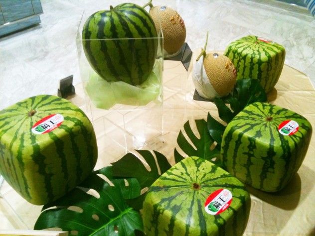 watermelon