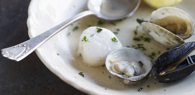 shellfish