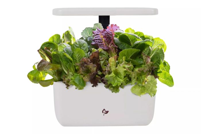 Amazon AeroGarden Harvest 2.0