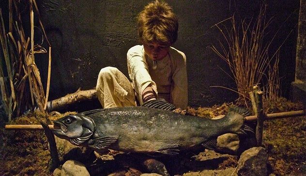 Salmon-of-knowledge