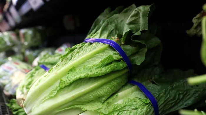 Lettuce is officially a thing of the past—just toss it.