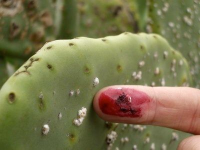 56406360 5A9Cfb2D68 O.300A.jpg