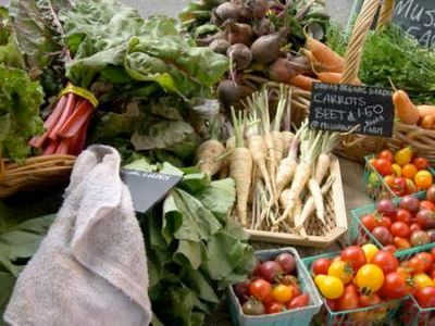 Hollywood Farmers Market Bounty.Preview