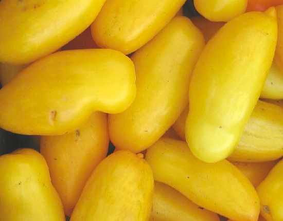Bananalegstomato