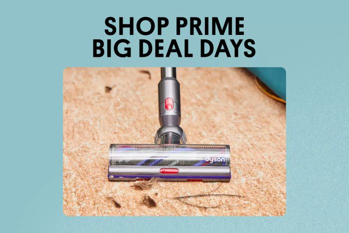 Dyson Vacuum Discounts