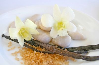 Vanilla-Orchid