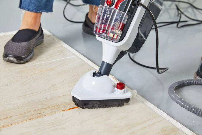 Hoover Steam Complete Pet