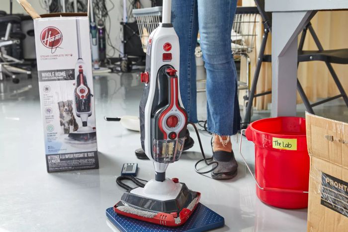 Hoover Steam Complete Pet