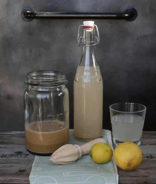 Diy Gingerbeer 1
