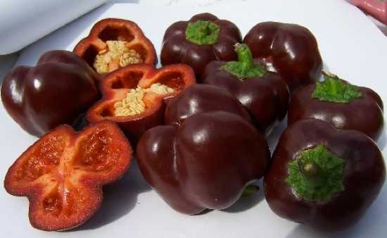 Sweet%20Chocolate%20Pepper
