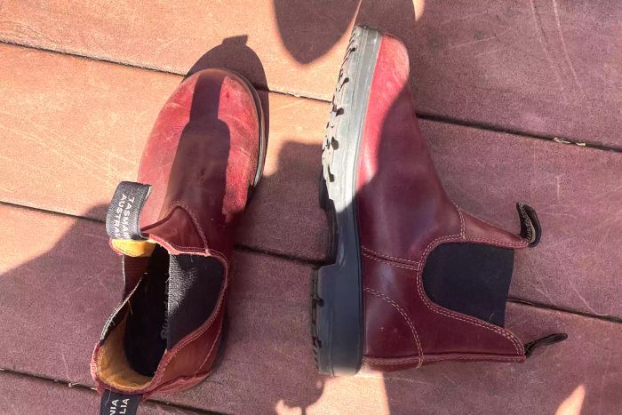A bird's-eye view of a pair of Blundstone #1352 Women's Originals High Top Boots