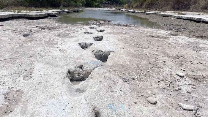 Dinosaur tracks