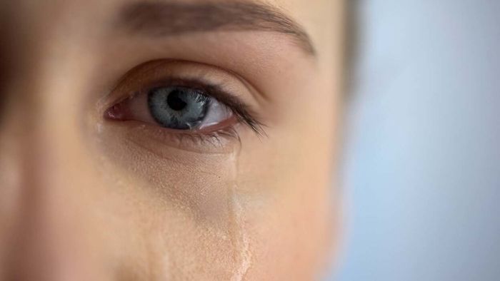 Should You Be Worried About 'Parasitic Eye Worms' or Face Flies?