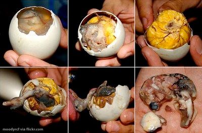 Balut1