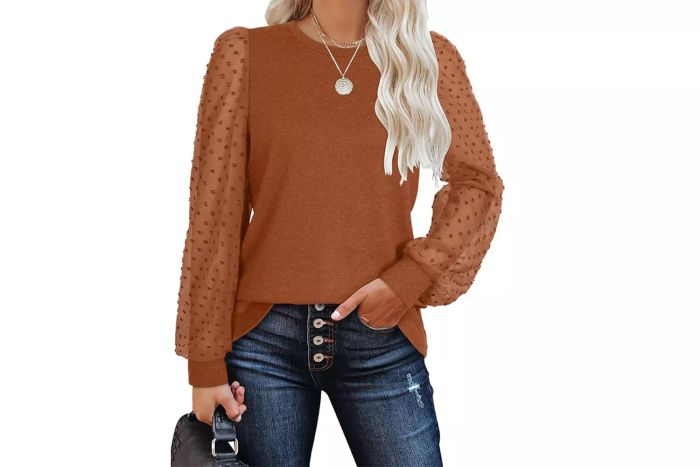 WIHOLL Long Sleeve Shirts for Women - Trendy Crew Neck Tunic Tops for Fall