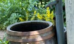 Rain barrel