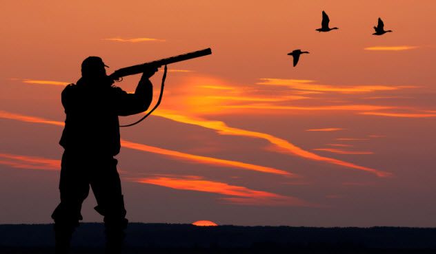 10-hunter-468551946