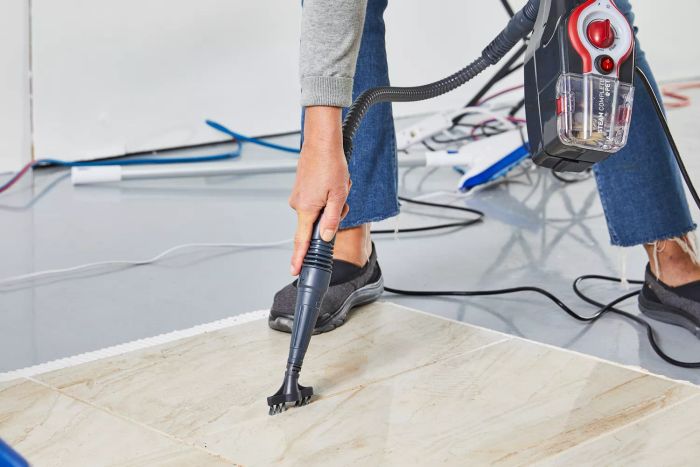 Hoover Steam Complete Pet