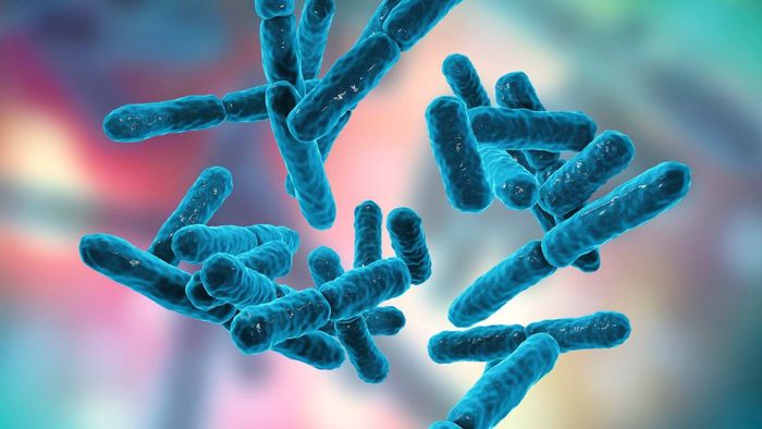 Should You Have Your Vaginal Microbiome Analyzed?
