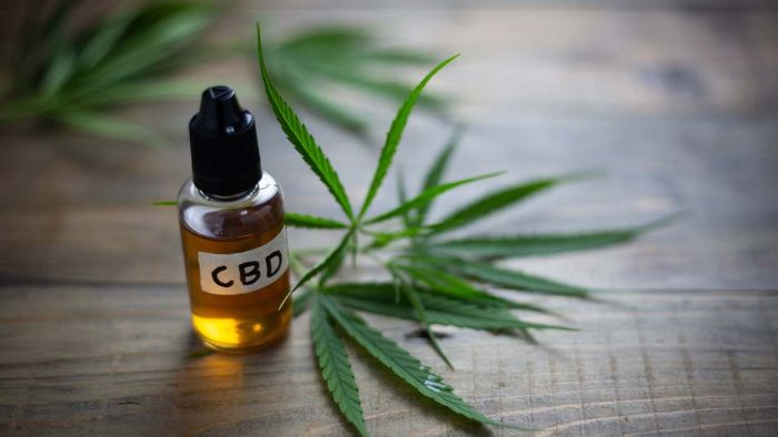 Understanding the FDA's Stance on CBD Regulations