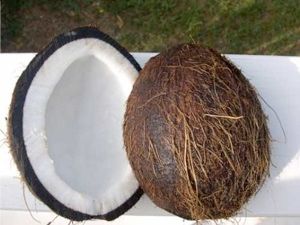 Coconut