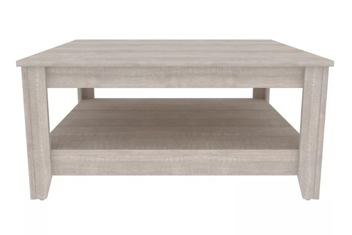 Lark Manor Weddel Basilico Coffee Table with Storage
