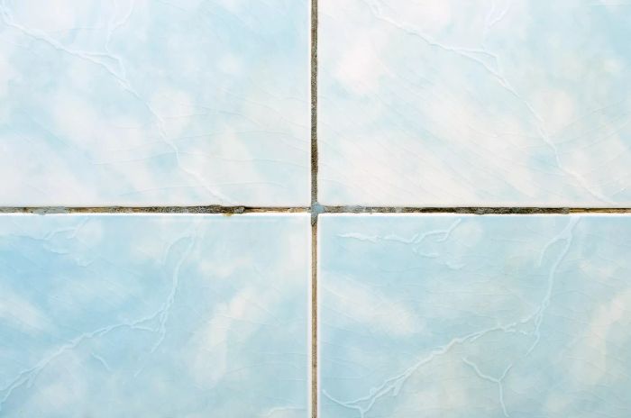 A detailed view of grimy bathroom tile grout