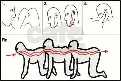 The-Human-Centipede-T-Shirt1