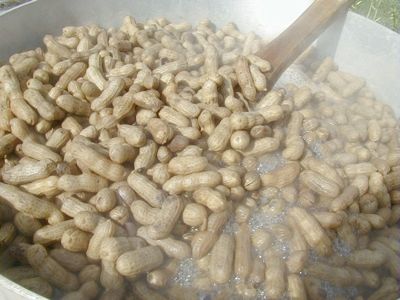 Boiledpnutsa