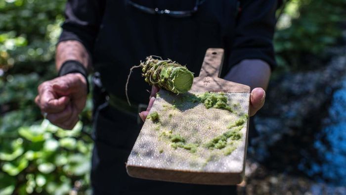 Understanding the Difference Between Wasabi Heat and Chili Pepper Heat