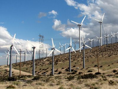 a sprawling wind energy facility located in California