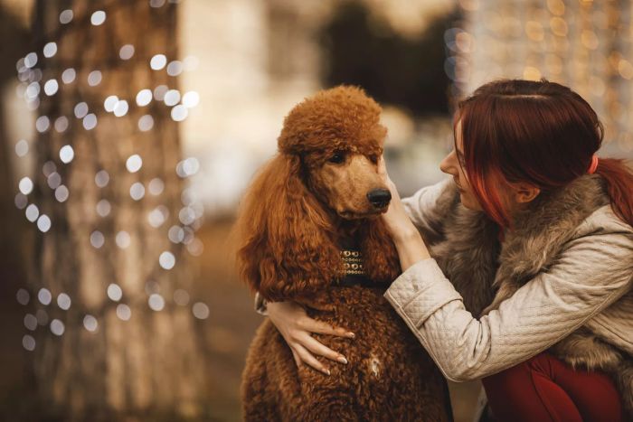 How much to tip your dog walker