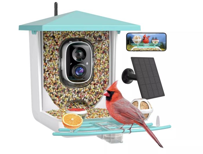 a cardinal perched on a bird feeder