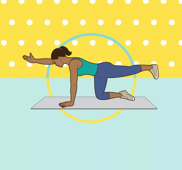 ta-exercise-bird-dog