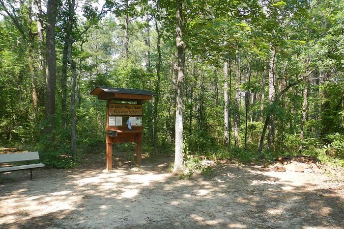 A forested clearing marks the top of Driskill Mountain, which is Louisiana’s highest point at an elevation of 535 feet.